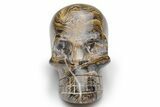 Polished Stromatolite (Greysonia) Skull - Bolivia #216715-1